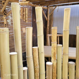 valla de bambu japonesa