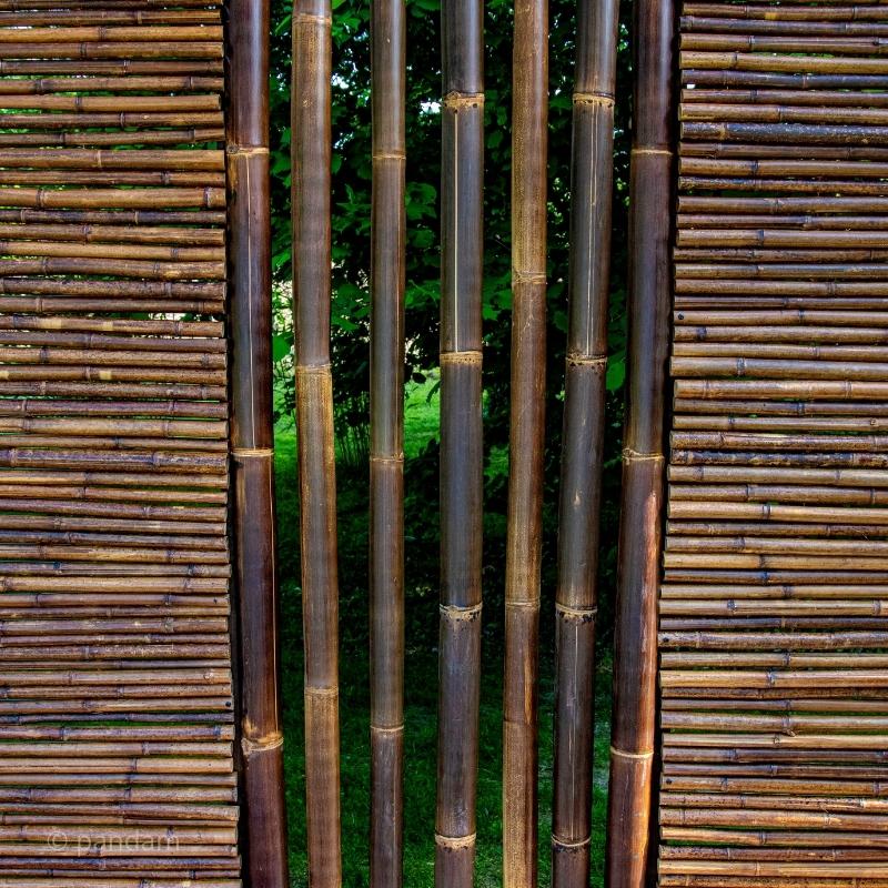 valla de bambu negro